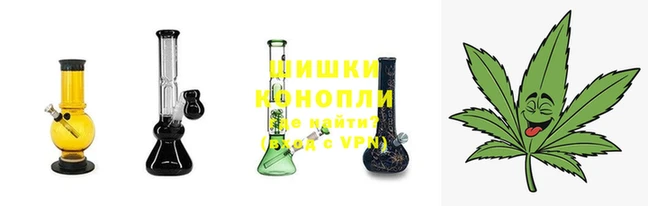 PSILOCYBIN Покров